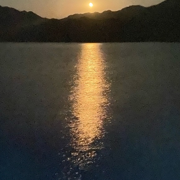 Meet your Posher, Wayne - Picture 9 of 9